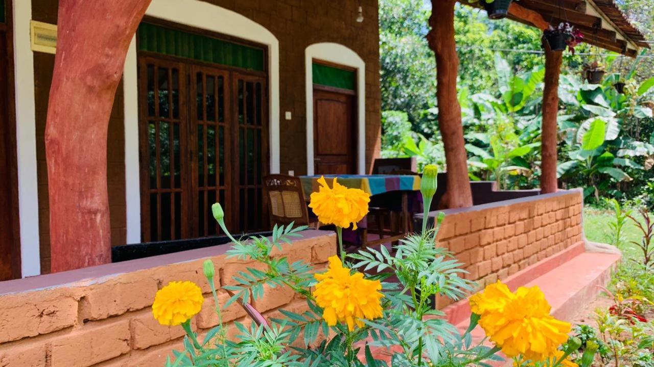 Sigiriya Chena Villa Εξωτερικό φωτογραφία