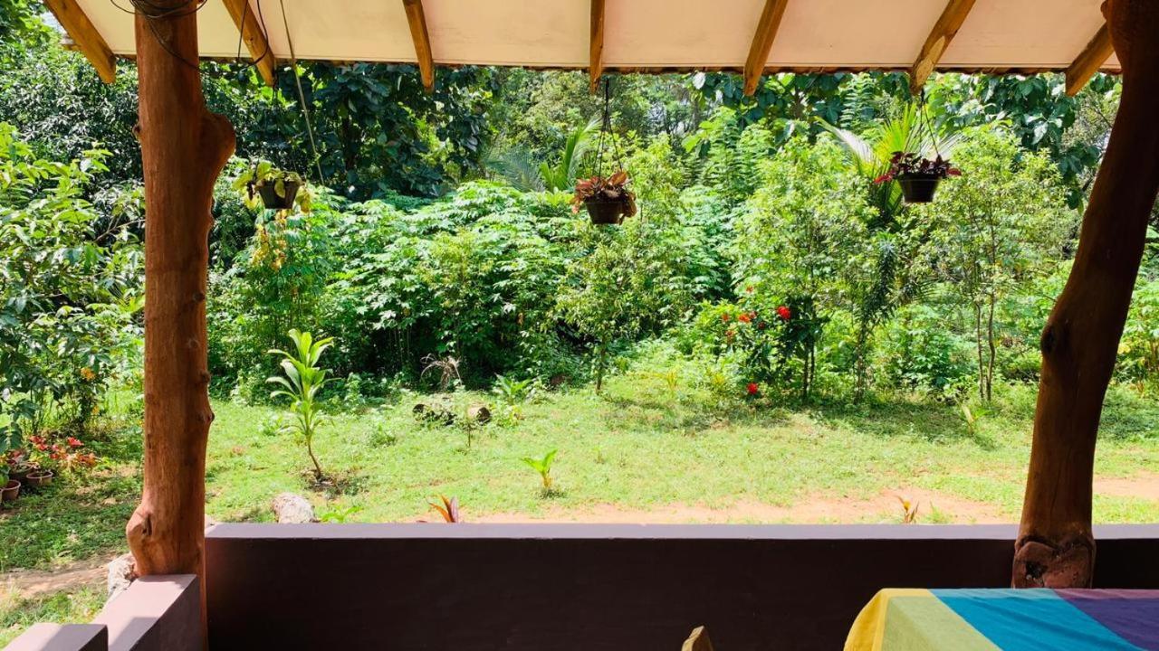 Sigiriya Chena Villa Εξωτερικό φωτογραφία